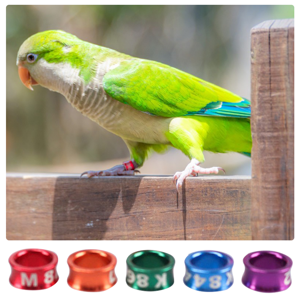 Pigeons Foot Ring With Numbered Outdoor Flight Training Tool Competition Identification Label Aluminum Bird Parrots Foot Ring