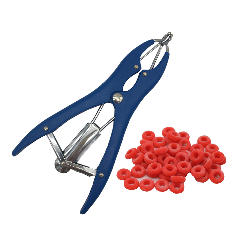 500 Pcs Piglet Cow Sheep Castration rings Rubber ring castration Equipment wholefarm animals